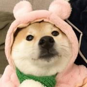 我是女的的个人资料头像