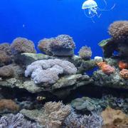 董海彬的个人资料头像