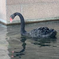 FS掂过碌蔗丶头像