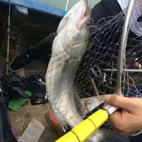 往事如风JWL头像