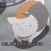 前端踩bug工程师的个人资料头像