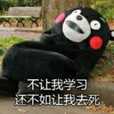 毛啧啧野头像