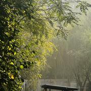 Targo的个人资料头像