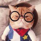 Yu的个人资料头像