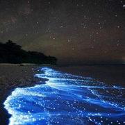 chensir000的个人资料头像