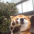 一个人的风景_的个人资料头像