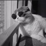 刘哲轩的个人资料头像