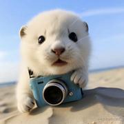 别抓脸的个人资料头像