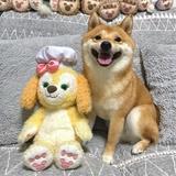 找我吗有事请说头像