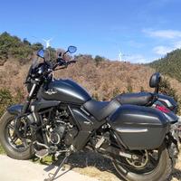 骑巡航的宝哥头像