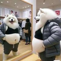 笑到捻痛头像