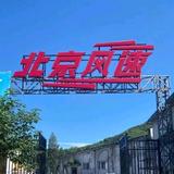风速中的小科头像