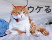 温斯顿的个人资料头像