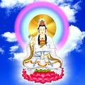 午夜狂魔619头像