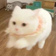 666667的个人资料头像