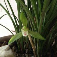 幸福一生W666头像