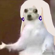 我是乃琳谢谢你的个人资料头像