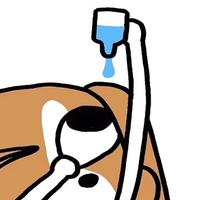 爱吃兔子的大萝菠头像