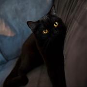 April839的个人资料头像