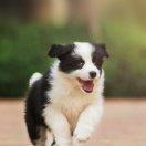 浪里个浪62983的个人资料头像