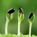 黄玉明的个人资料头像