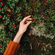 Pontoon的个人资料头像