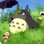 Seanzheng的个人资料头像