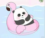 婧子酱的个人资料头像