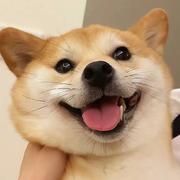 Abc的个人资料头像