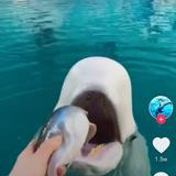 永无止境6900头像