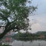 九天未来头像