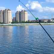 Musk87的个人资料头像