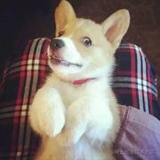 chenyuhong的个人资料头像