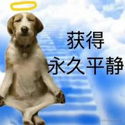 半个自闭症的个人资料头像