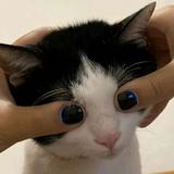 你滴阿马头像