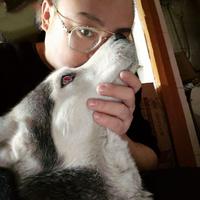 欧迪老先森头像