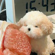 端盘花生米的个人资料头像