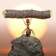 十二71的个人资料头像