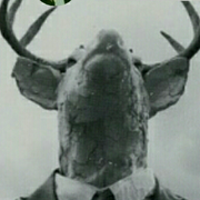 小召的个人资料头像