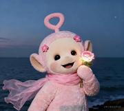 哒个大西瓜的个人资料头像