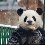 境儿的个人资料头像