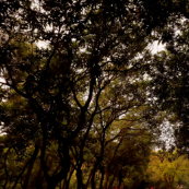 我把爱留在银河系头像