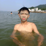 助农的菜鸟头像