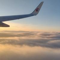 随性自由的东东精灵头像