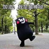 用户8205434496730头像