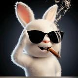 S笑渡凡尘Y头像