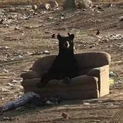 安静的706的个人资料头像