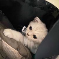 谢晨儿头像