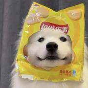 Kangstantine的个人资料头像