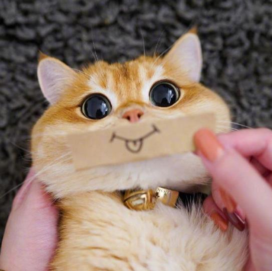 一往无前的冰淇淋蛋糕头像